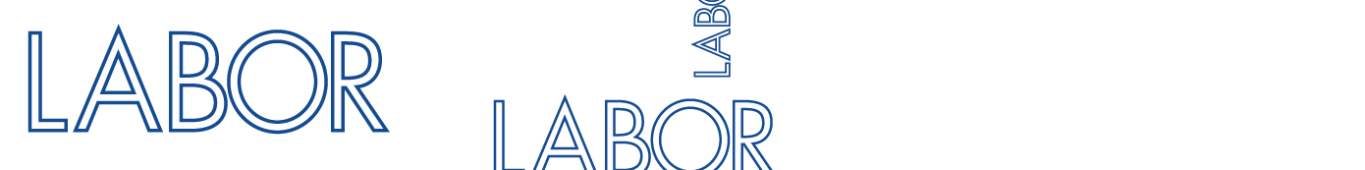 LOGO-Labor-Seifert
